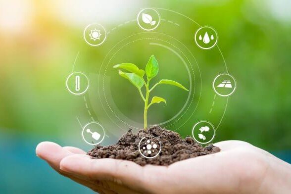 INN4-INSRL001-24566-proimage-1-696×392