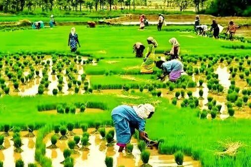 18740183_1616358078375094_8774590382671671436_n